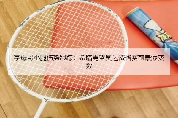 字母哥小腿伤势跟踪：希腊男篮奥运资格赛前景添变数